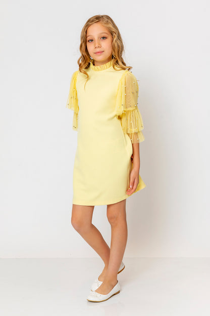 InCity Kids Girls Ruffled Transparent Sleeve Fashion Dress