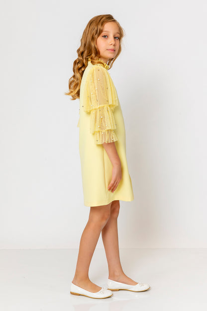 InCity Kids Girls Ruffled Transparent Sleeve Fashion Dress