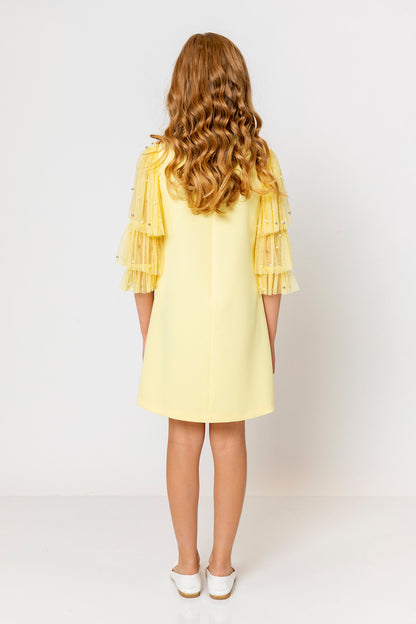 InCity Kids Girls Ruffled Transparent Sleeve Fashion Dress