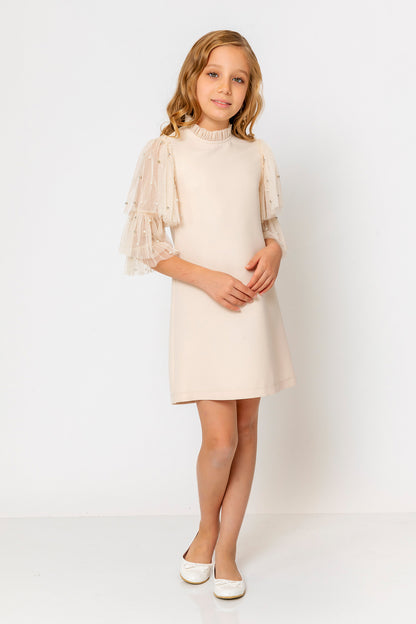 InCity Kids Girls Ruffled Transparent Sleeve Fashion Dress