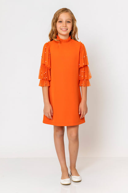 InCity Kids Girls Ruffled Transparent Sleeve Fashion Dress